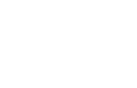 VSF Logo White